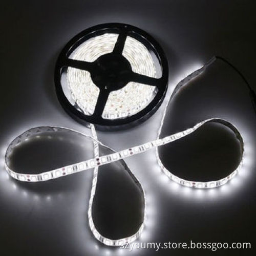 Factory supply SMD 5050 LED flexible strip lights with DC plugs